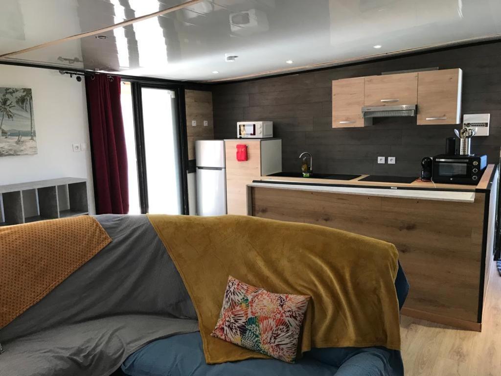 サン・タンドレLe Flamboyant Avec Piscine Chauffee 30° Et Jacuzziアパートメント エクステリア 写真